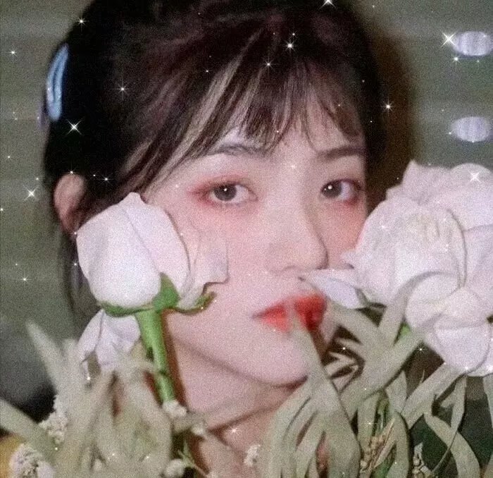 森林传说